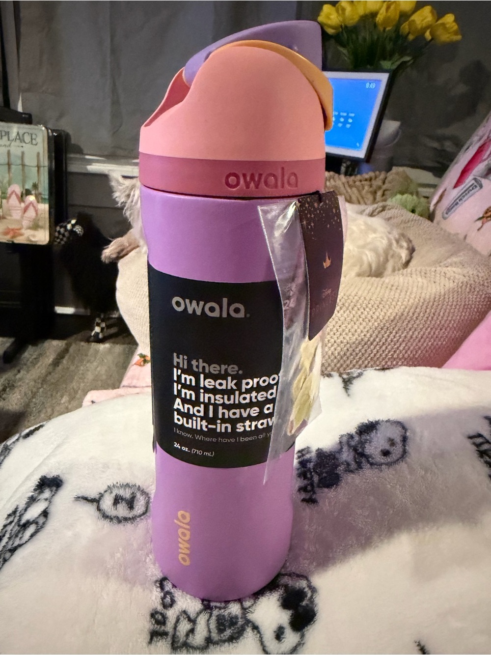 Disney Rapunzel Owala 24oz Insulated Bottle - Pink & Lavender